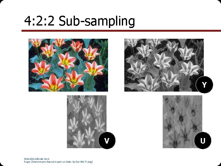 4: 2: 2 Sub-sampling Y V NUS. SOC. CS 5248 -2010 Roger Zimmermann (based