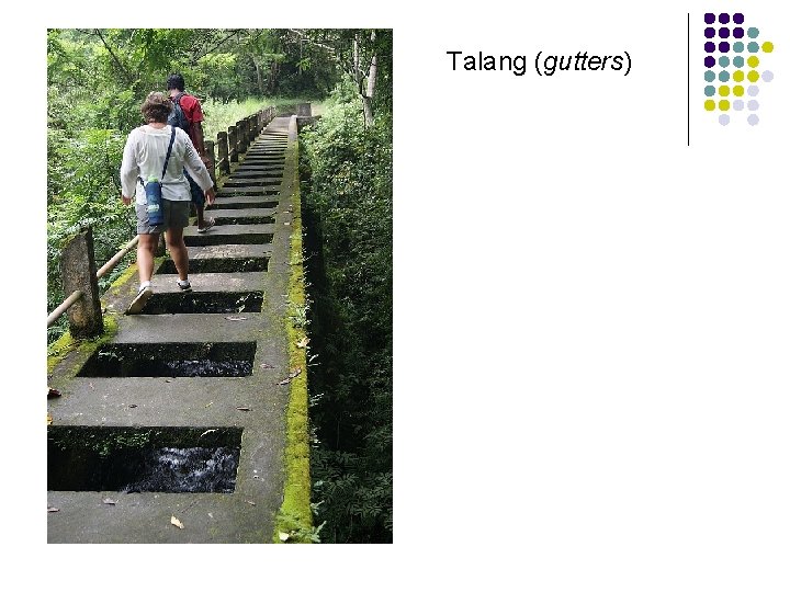Talang (gutters) Talang (gutters)