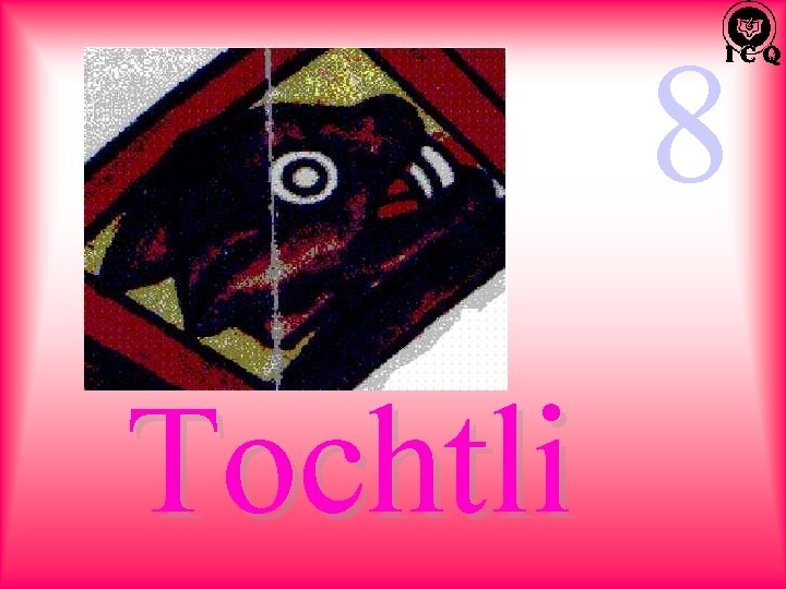 8 Tochtli 