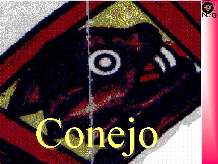 Conejo 