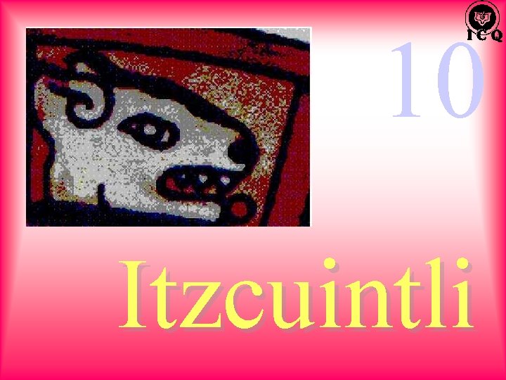 10 Itzcuintli 