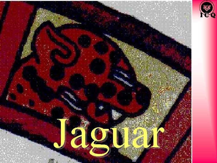 Jaguar 