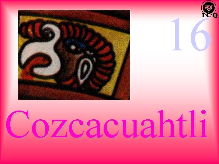 16 Cozcacuahtli 