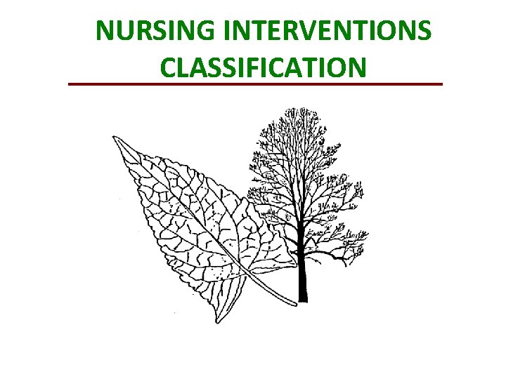 NURSING INTERVENTIONS CLASSIFICATION 