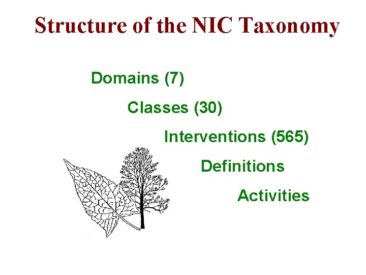 Structure of the NIC Taxonomy Domains (7) Classes (30) Interventions (565) Definitions Activities 