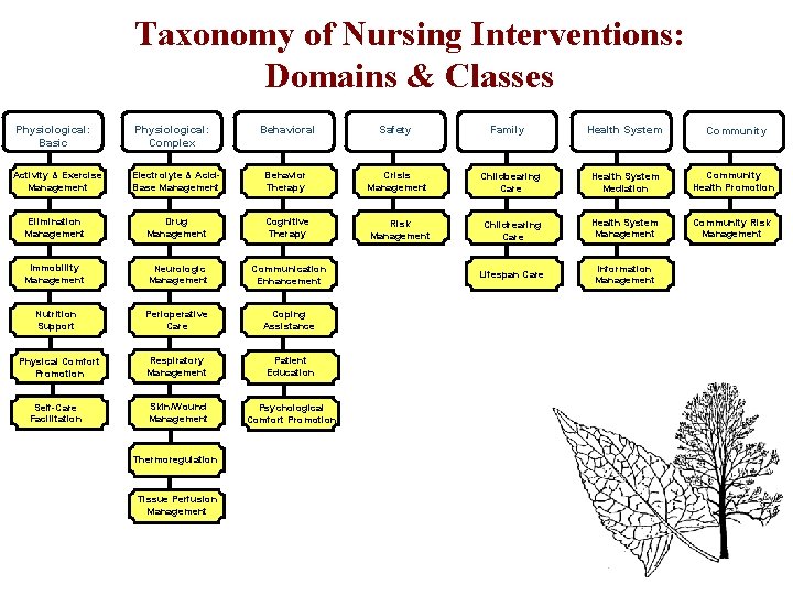 Taxonomy of Nursing Interventions: Domains & Classes Physiological: Basic Physiological: Complex Behavioral Safety Activity