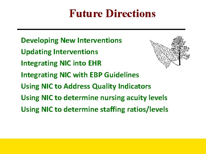 Future Directions Developing New Interventions Updating Interventions Integrating NIC into EHR Integrating NIC with