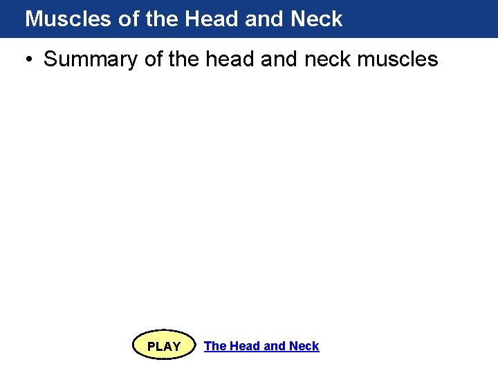 Muscles of the Head and Neck • Summary of the head and neck muscles