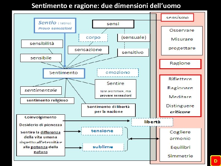 Sentimento e ragione: due dimensioni dell’uomo D Sentimento e ragione: due dimensioni dell’uomo D