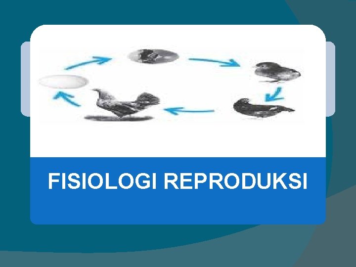 FISIOLOGI REPRODUKSI 