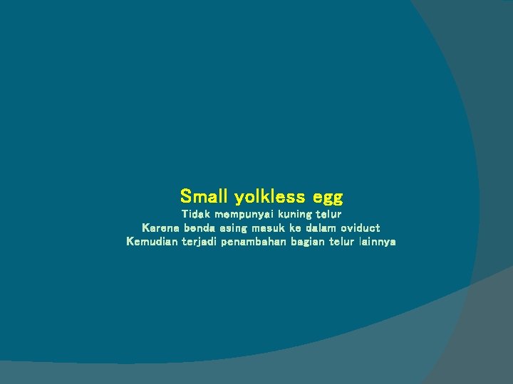 Small yolkless egg Tidak mempunyai kuning telur Karena benda asing masuk ke dalam oviduct