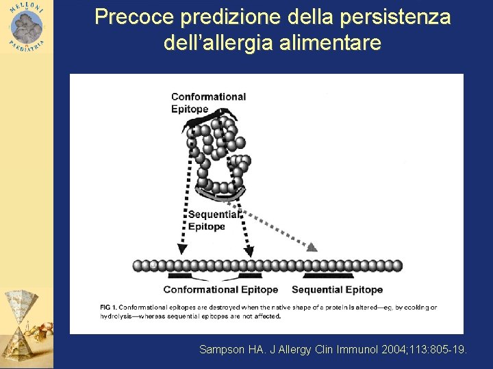 Precoce predizione della persistenza dell’allergia alimentare Sampson HA. J Allergy Clin Immunol 2004; 113: