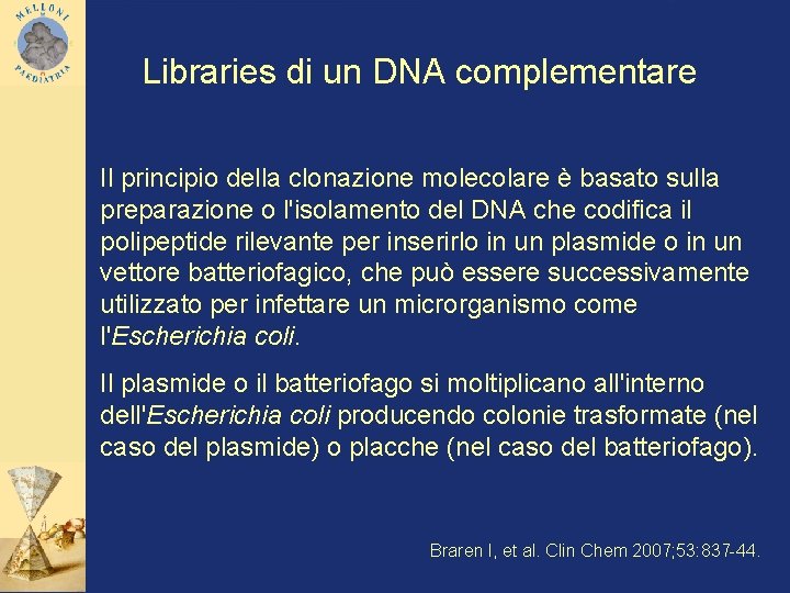 Libraries di un DNA complementare Il principio della clonazione molecolare è basato sulla preparazione