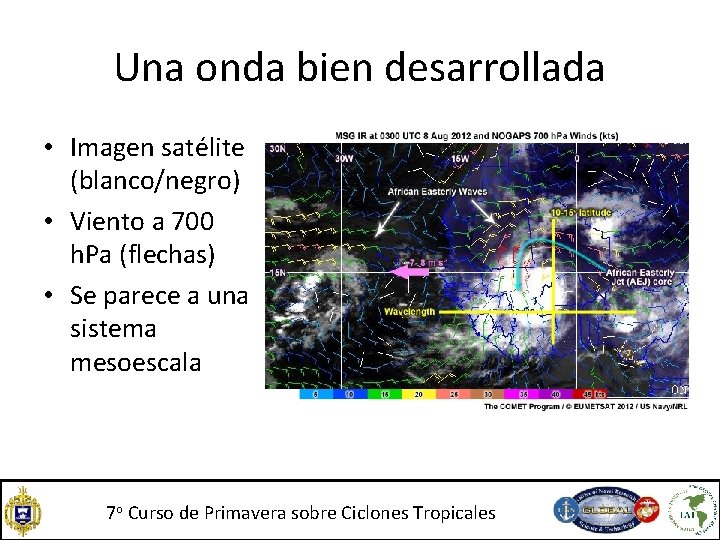 Una onda bien desarrollada • Imagen satélite (blanco/negro) • Viento a 700 h. Pa Una onda bien desarrollada • Imagen satélite (blanco/negro) • Viento a 700 h. Pa