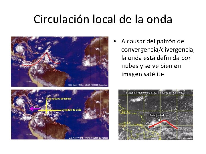 Circulación local de la onda • A causar del patrón de convergencia/divergencia, la onda Circulación local de la onda • A causar del patrón de convergencia/divergencia, la onda