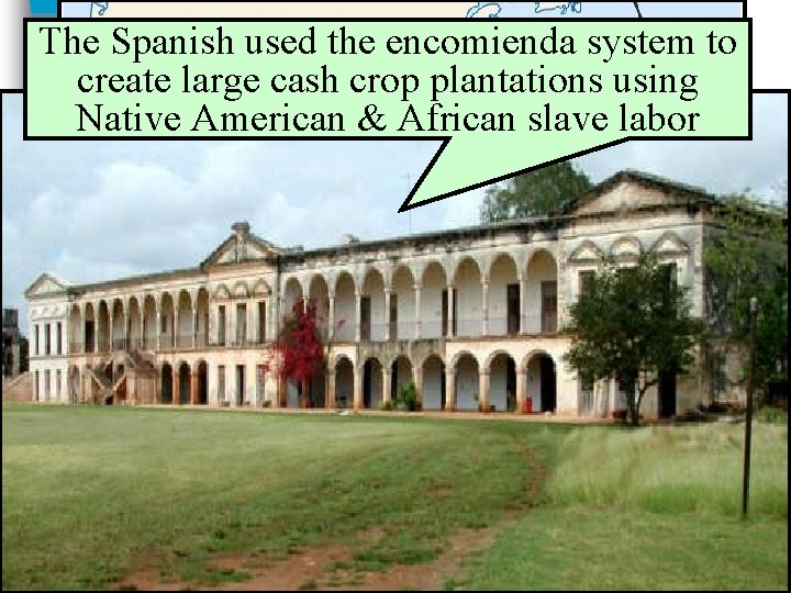 The Spanish used the encomienda system to Spanish Conquests & Colonies create large cash