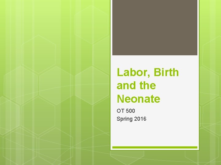 Labor, Birth and the Neonate OT 500 Spring 2016 