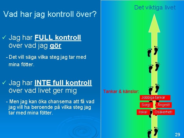 Vad har jag kontroll över? ü Det viktiga livet Jag har FULL kontroll över