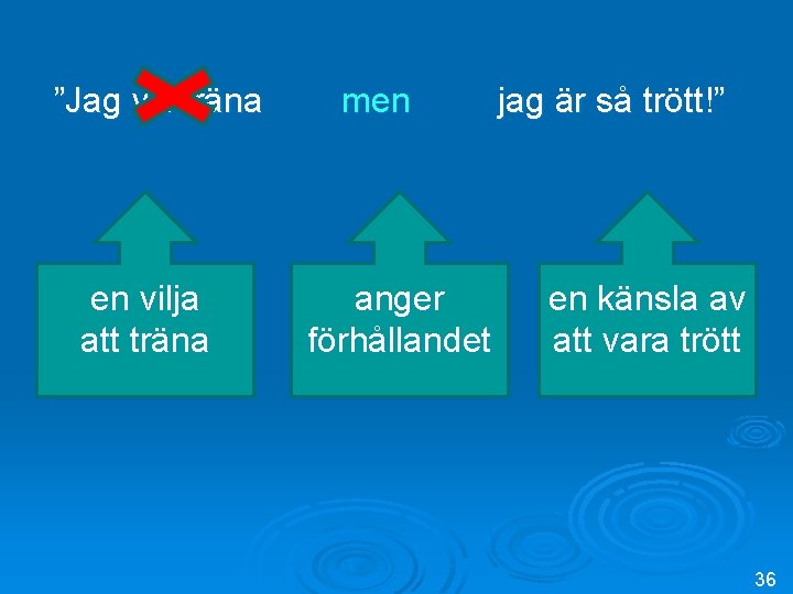”Jag vill träna men jag är så trött!” en vilja att träna anger förhållandet