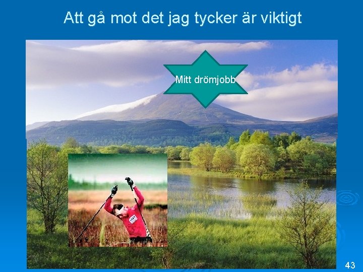 Att gå mot det jag tycker är viktigt Mitt drömjobb 43 