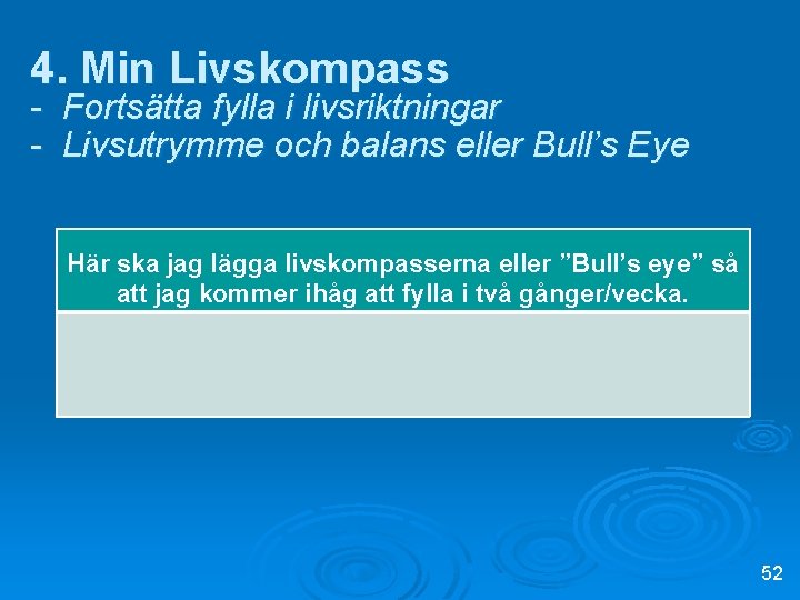 4. Min Livskompass - Fortsätta fylla i livsriktningar - Livsutrymme och balans eller Bull’s