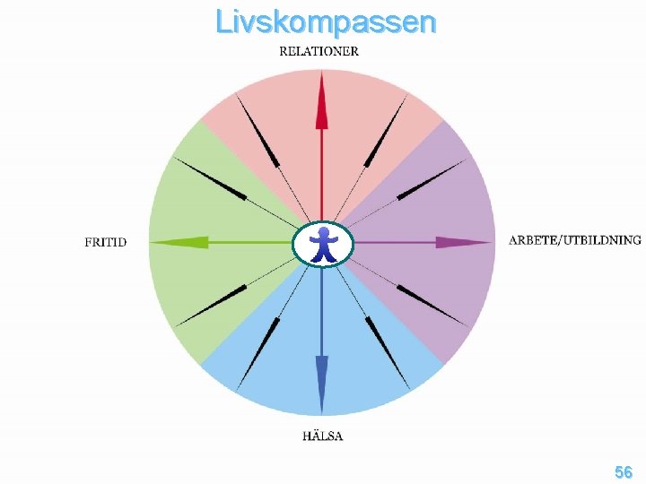 Livskompassen 11 56 