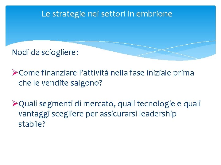 Le strategie nei settori in embrione Nodi da sciogliere: ØCome finanziare l’attività nella fase