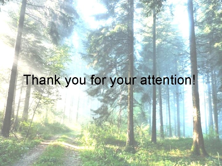 Thank you for your attention! 