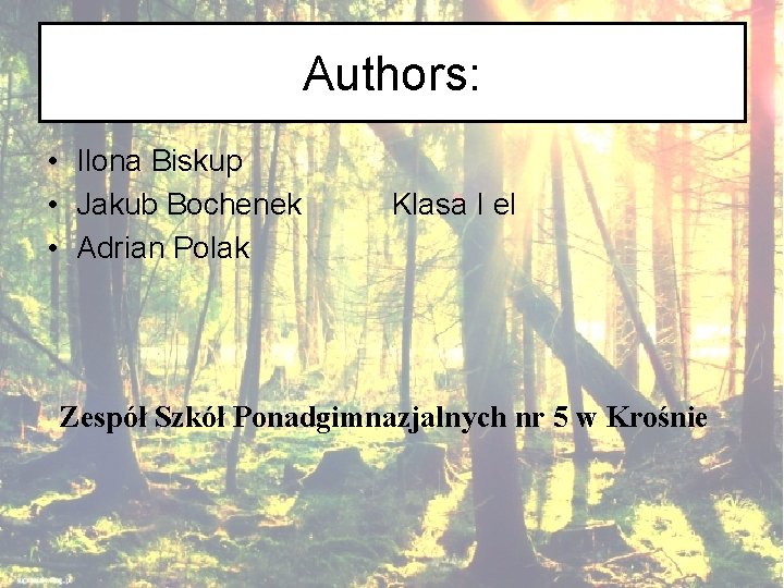 Authors: • Ilona Biskup • Jakub Bochenek • Adrian Polak Klasa I el Zespół
