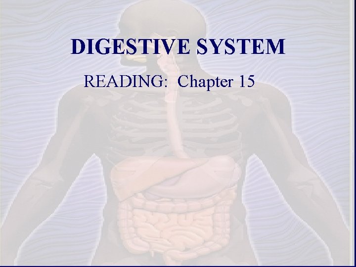 DIGESTIVE SYSTEM READING: Chapter 15 1 