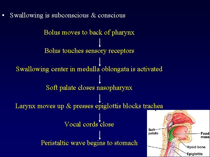  • Swallowing is subconscious & conscious Bolus moves to back of pharynx Bolus