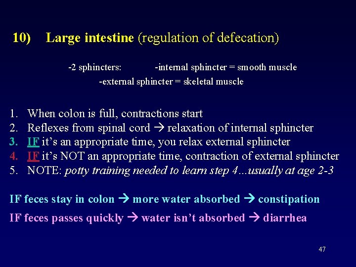 10) Large intestine (regulation of defecation) -2 sphincters: -internal sphincter = smooth muscle -external