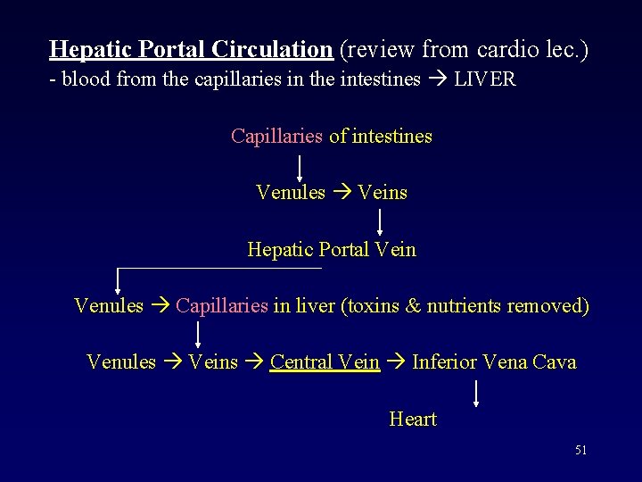 Hepatic Portal Circulation (review from cardio lec. ) - blood from the capillaries in