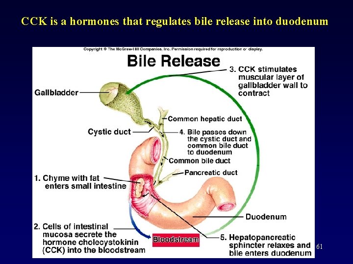 CCK is a hormones that regulates bile release into duodenum 61 