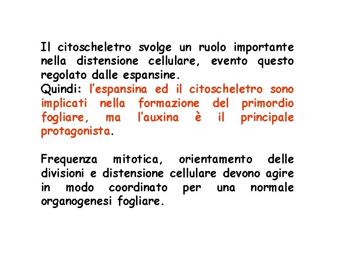 Il citoscheletro svolge un ruolo importante nella distensione cellulare, evento questo regolato dalle espansine. Il citoscheletro svolge un ruolo importante nella distensione cellulare, evento questo regolato dalle espansine.