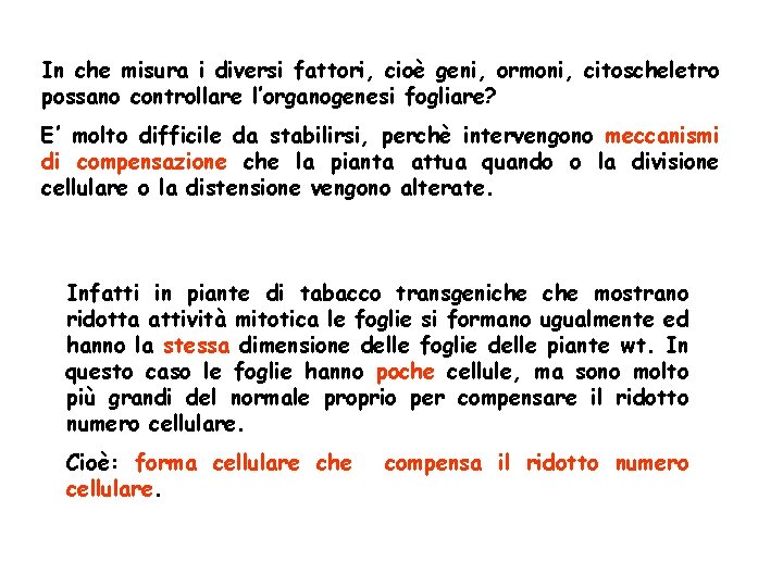 In che misura i diversi fattori, cioè geni, ormoni, citoscheletro possano controllare l’organogenesi fogliare? In che misura i diversi fattori, cioè geni, ormoni, citoscheletro possano controllare l’organogenesi fogliare?