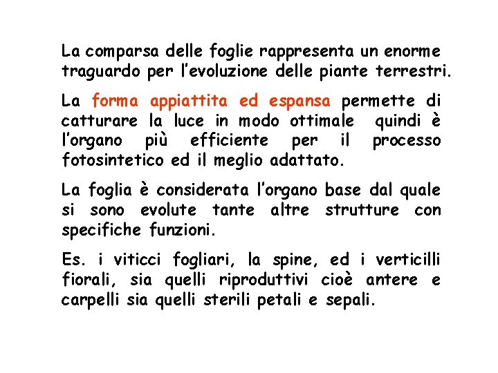 La comparsa delle foglie rappresenta un enorme traguardo per l’evoluzione delle piante terrestri. La La comparsa delle foglie rappresenta un enorme traguardo per l’evoluzione delle piante terrestri. La