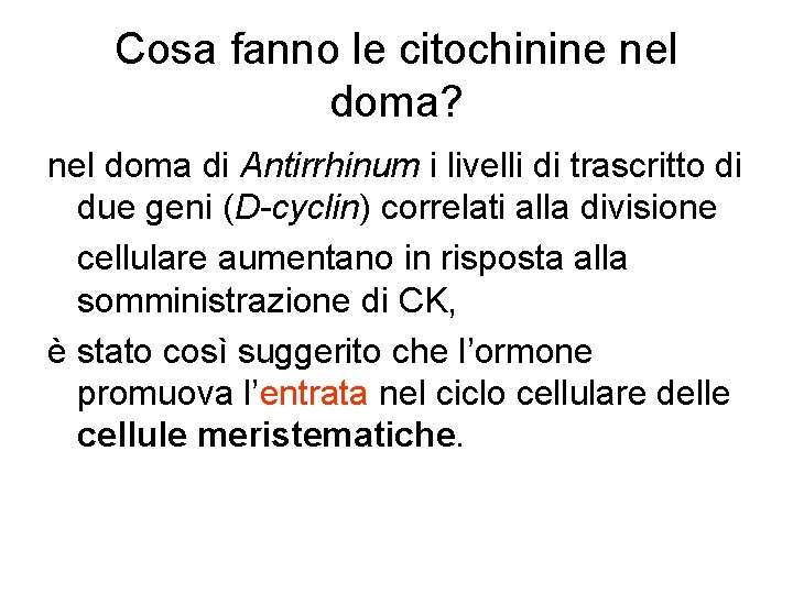Cosa fanno le citochinine nel doma? nel doma di Antirrhinum i livelli di trascritto Cosa fanno le citochinine nel doma? nel doma di Antirrhinum i livelli di trascritto