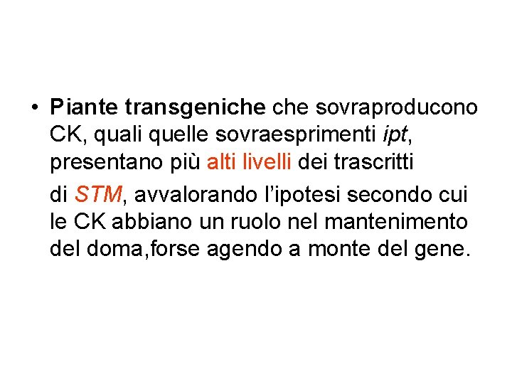 • Piante transgeniche sovraproducono CK, quali quelle sovraesprimenti ipt, presentano più alti livelli • Piante transgeniche sovraproducono CK, quali quelle sovraesprimenti ipt, presentano più alti livelli