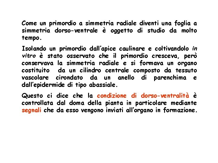 Come un primordio a simmetria radiale diventi una foglia a simmetria dorso-ventrale è oggetto Come un primordio a simmetria radiale diventi una foglia a simmetria dorso-ventrale è oggetto