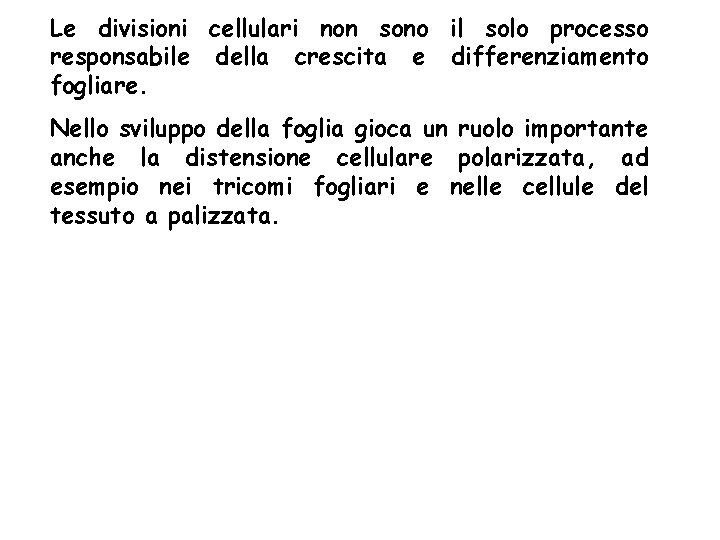 Le divisioni cellulari non sono il solo processo responsabile della crescita e differenziamento fogliare. Le divisioni cellulari non sono il solo processo responsabile della crescita e differenziamento fogliare.