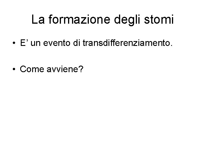 La formazione degli stomi • E’ un evento di transdifferenziamento. • Come avviene? La formazione degli stomi • E’ un evento di transdifferenziamento. • Come avviene?