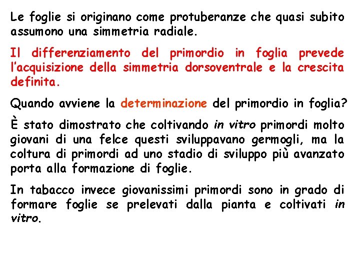 Le foglie si originano come protuberanze che quasi subito assumono una simmetria radiale. Il Le foglie si originano come protuberanze che quasi subito assumono una simmetria radiale. Il