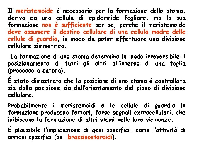 Il meristemoide è necessario per la formazione dello stoma, deriva da una cellula di Il meristemoide è necessario per la formazione dello stoma, deriva da una cellula di