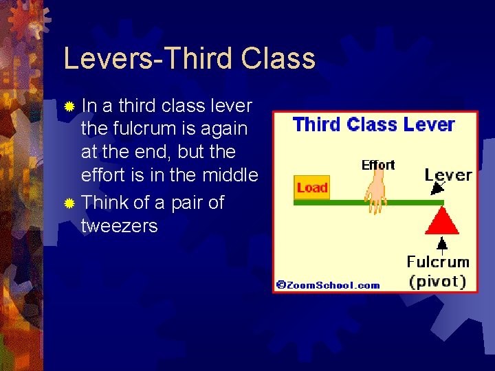Levers-Third Class ® In a third class lever the fulcrum is again at the