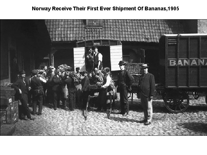  Norway Receive Their First Ever Shipment Of Bananas, 1905 