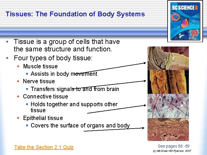 2 1 Body Systems A system is made