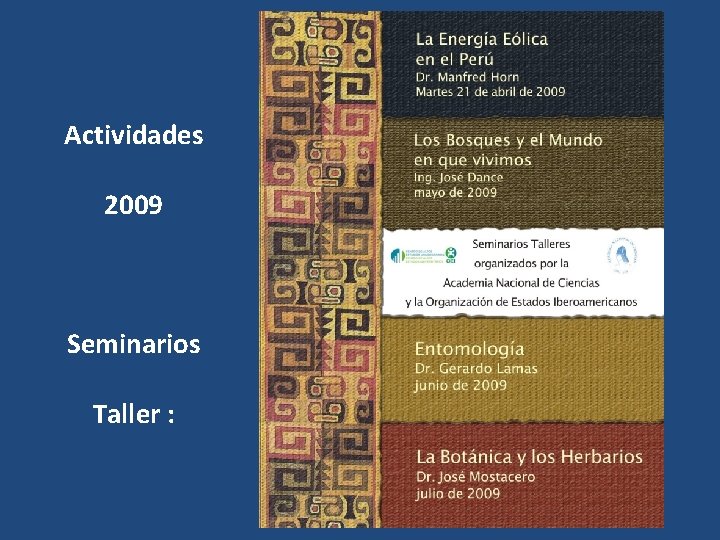 Actividades 2009 Seminarios Taller : 