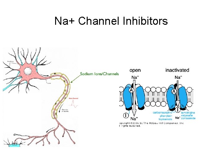 Na+ Channel Inhibitors 