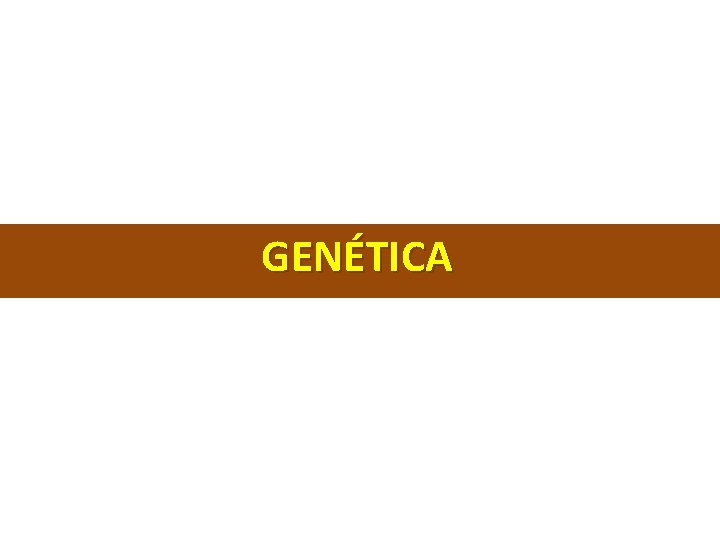 GENÉTICA 